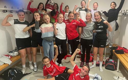 Erster Saisonsieg unserer weiblichen D-Jugend! | TSV-Wolfschlugen- SG Hegensberg-Liebersbronn 19:15 (6:10)